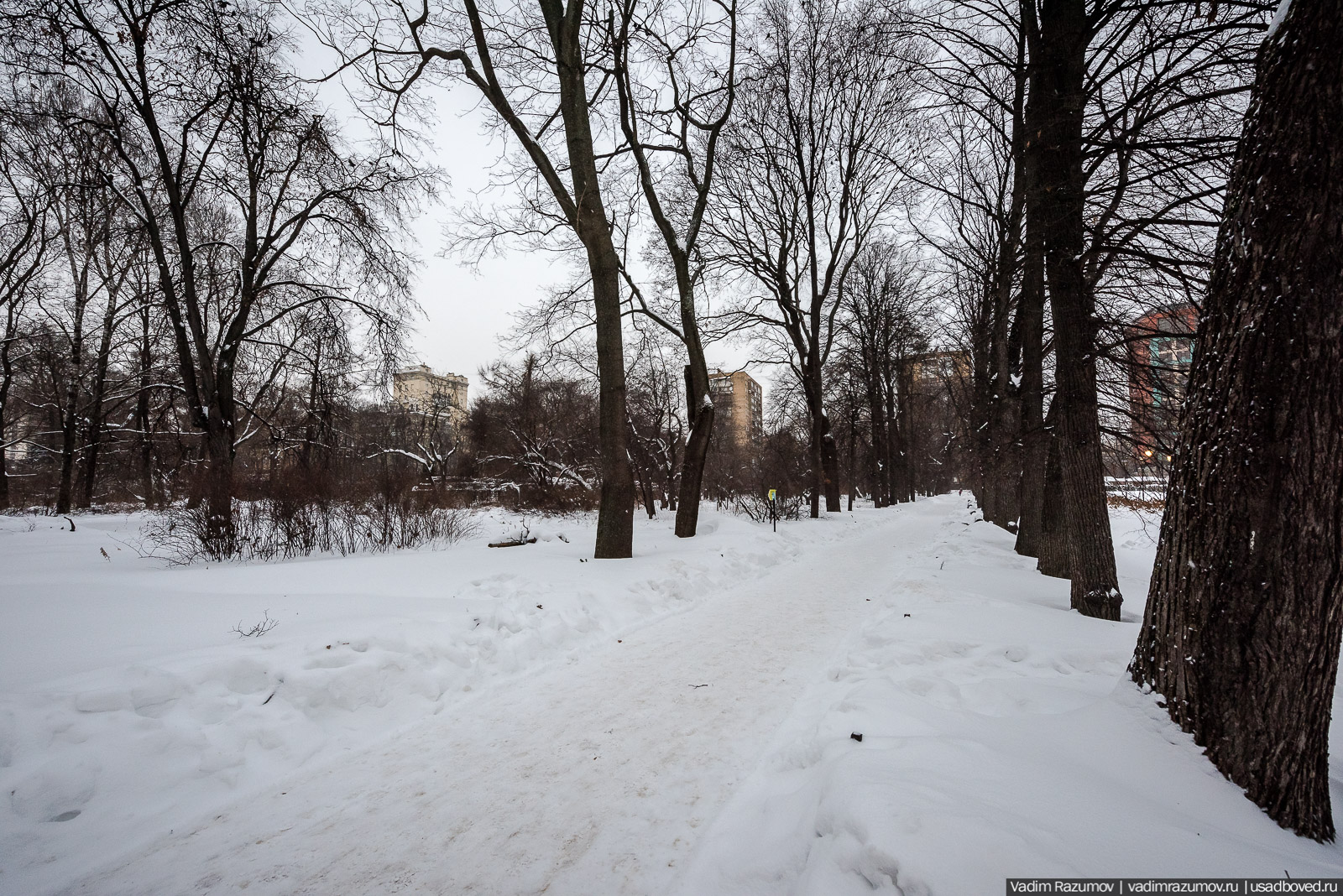 Аптекарский огород, Репетиция весны 2021, цветы, 8 Марта