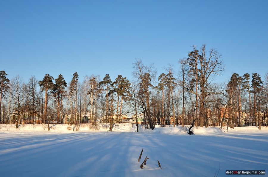 усадьба Архангельское-Тюриково