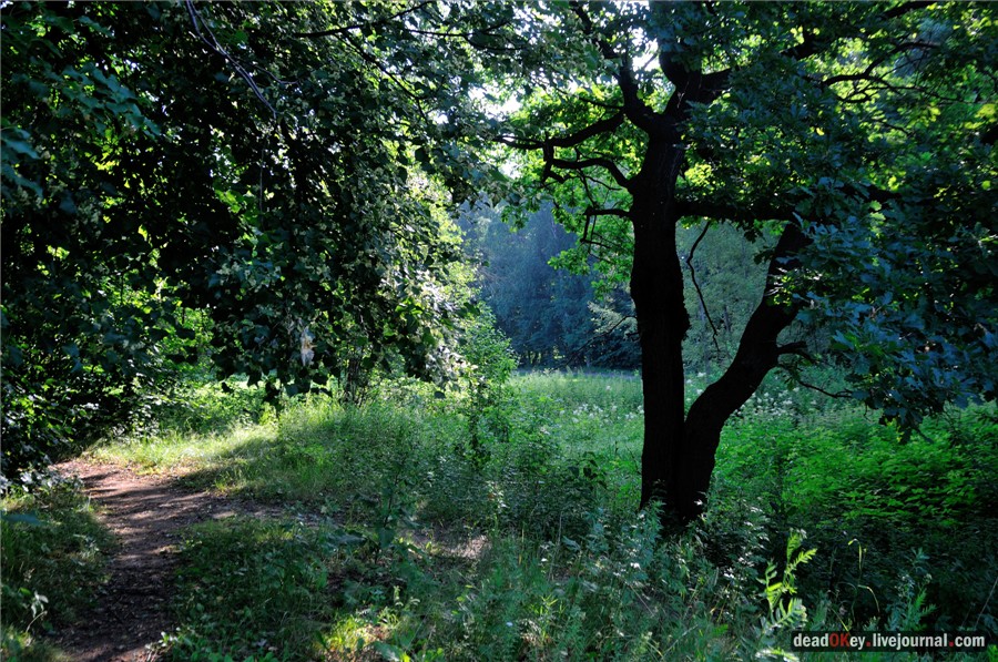 усадьба Долгое Ледово