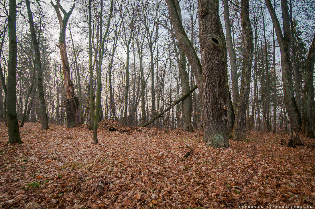 усадьба Синево, Истринский район