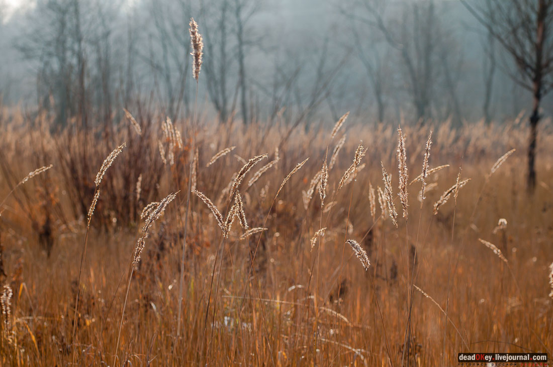 Усадьба Филатово