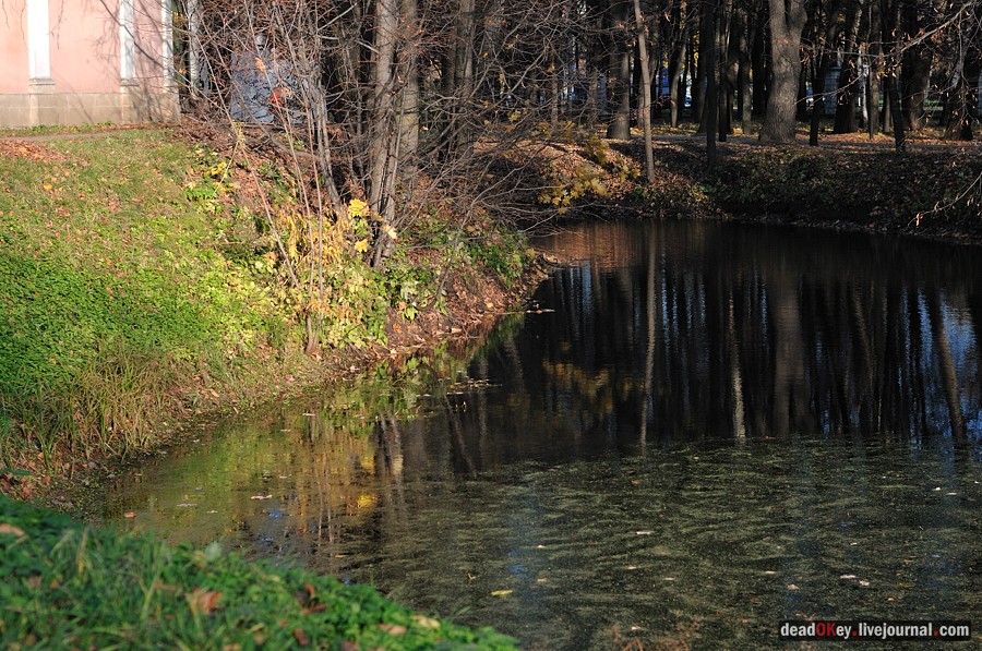усадьба Кусково