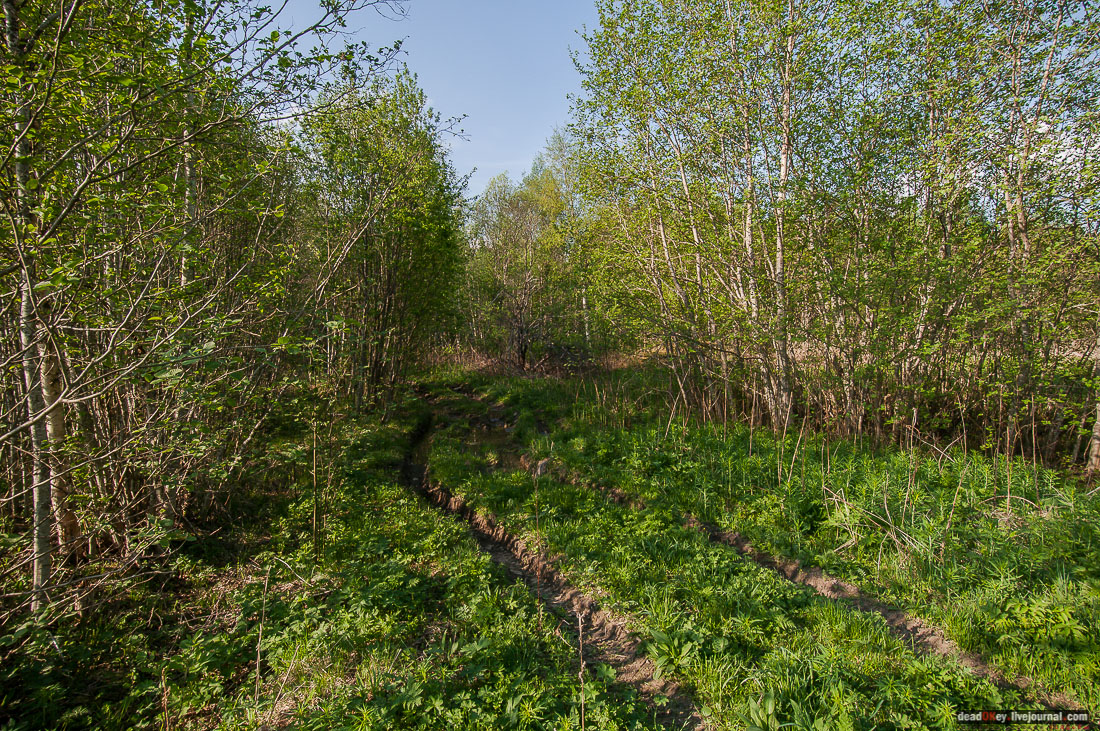 заброшенная деревня Сяпчозеро, Карелия, Кондопожский район