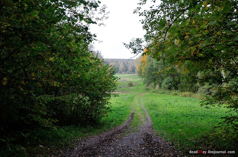 усадьба Ясная Поляна