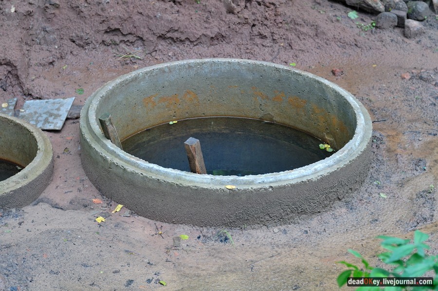 усадьба Верхоляне