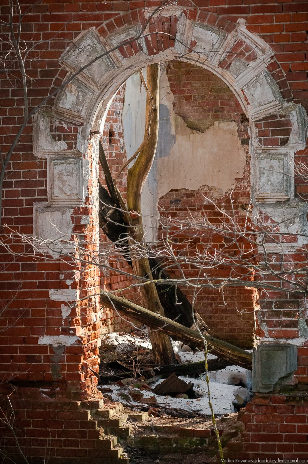 усадьба Соха