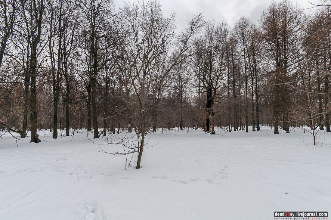 Вокруг Кусково