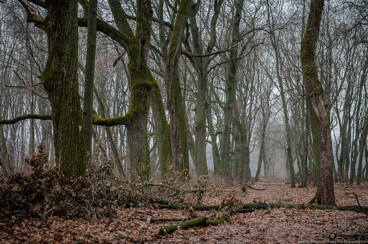 Липецкая область, аудиогид по трассе М4