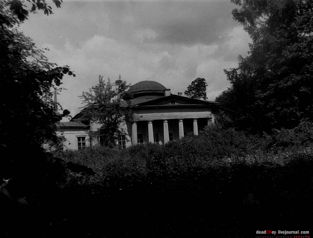 усадьба Васино