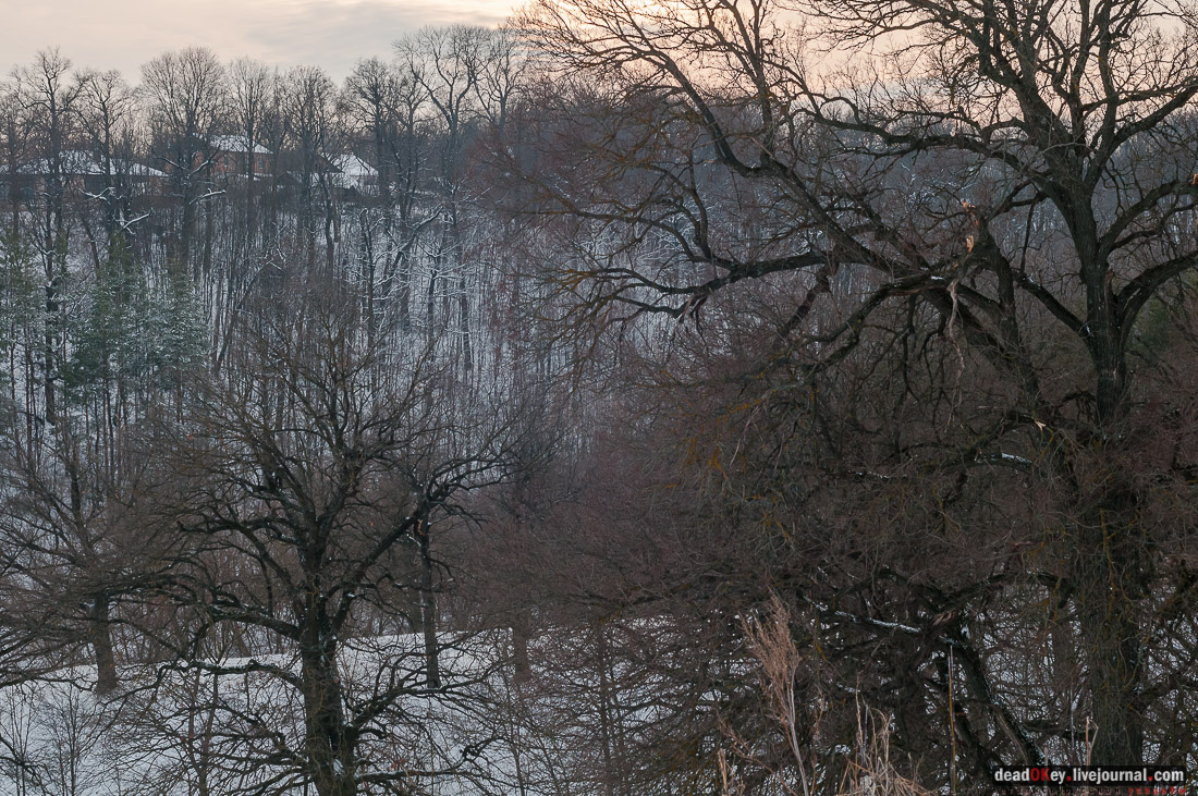 усадьба Рамонь