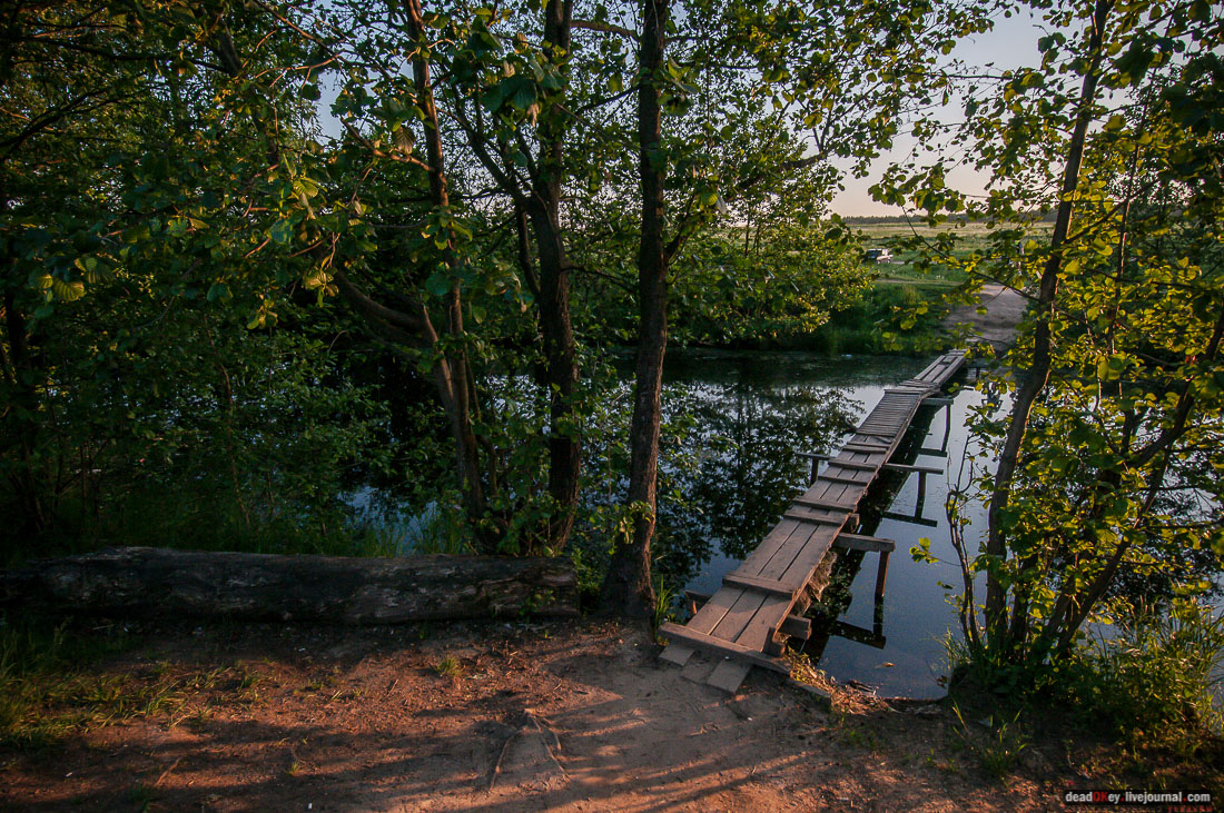Пейзажный парк в усадьбе Гребнево