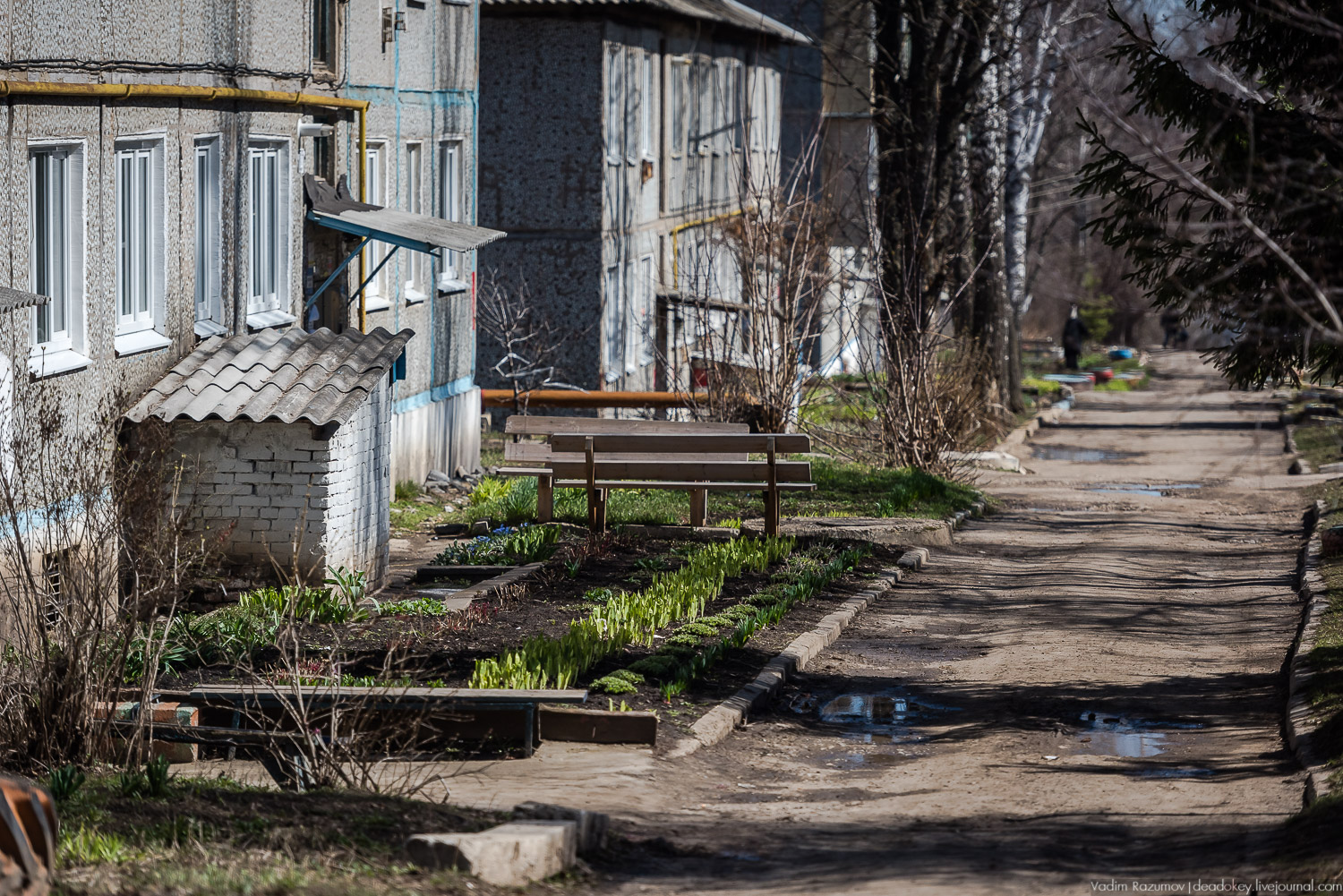 Богородицк, сады горожан