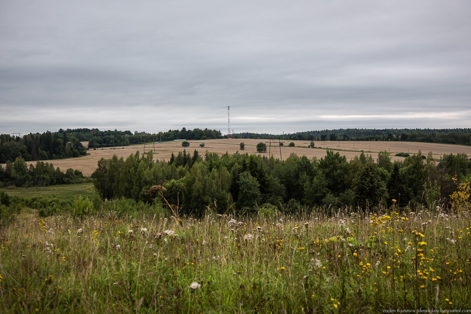 усадьба Никольское-Обольяниново, Усадебные волонтеры, субботник 17 августа 2019 года