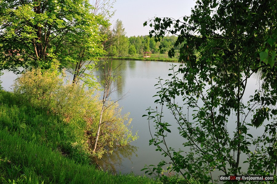 усадьба Богословское-Могильцы