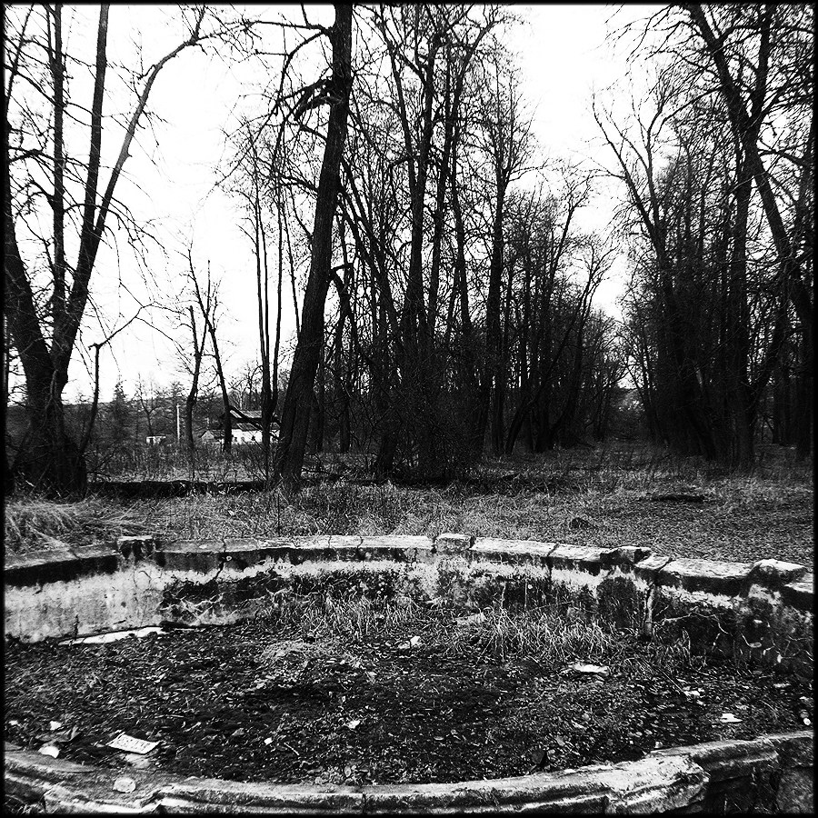 Парковые аллеи в русских усадьбах