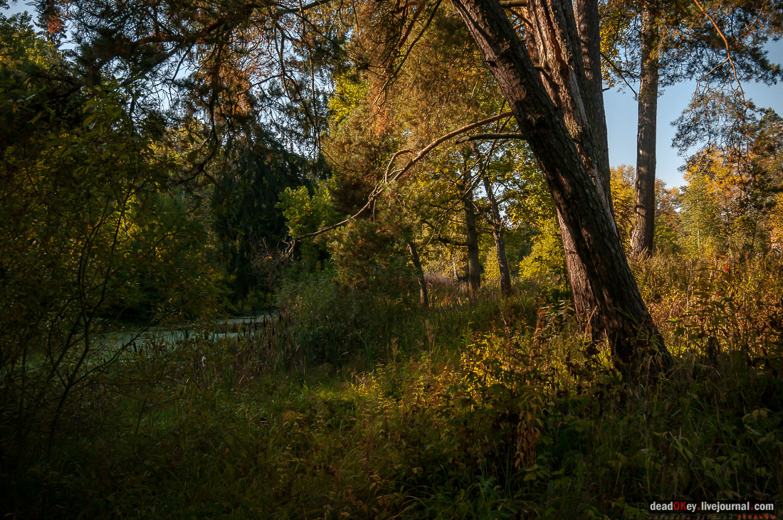 усадьба Стуловых