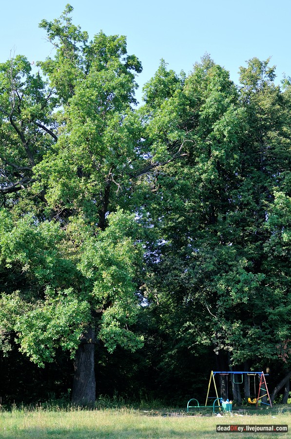 усадьба Шишкино