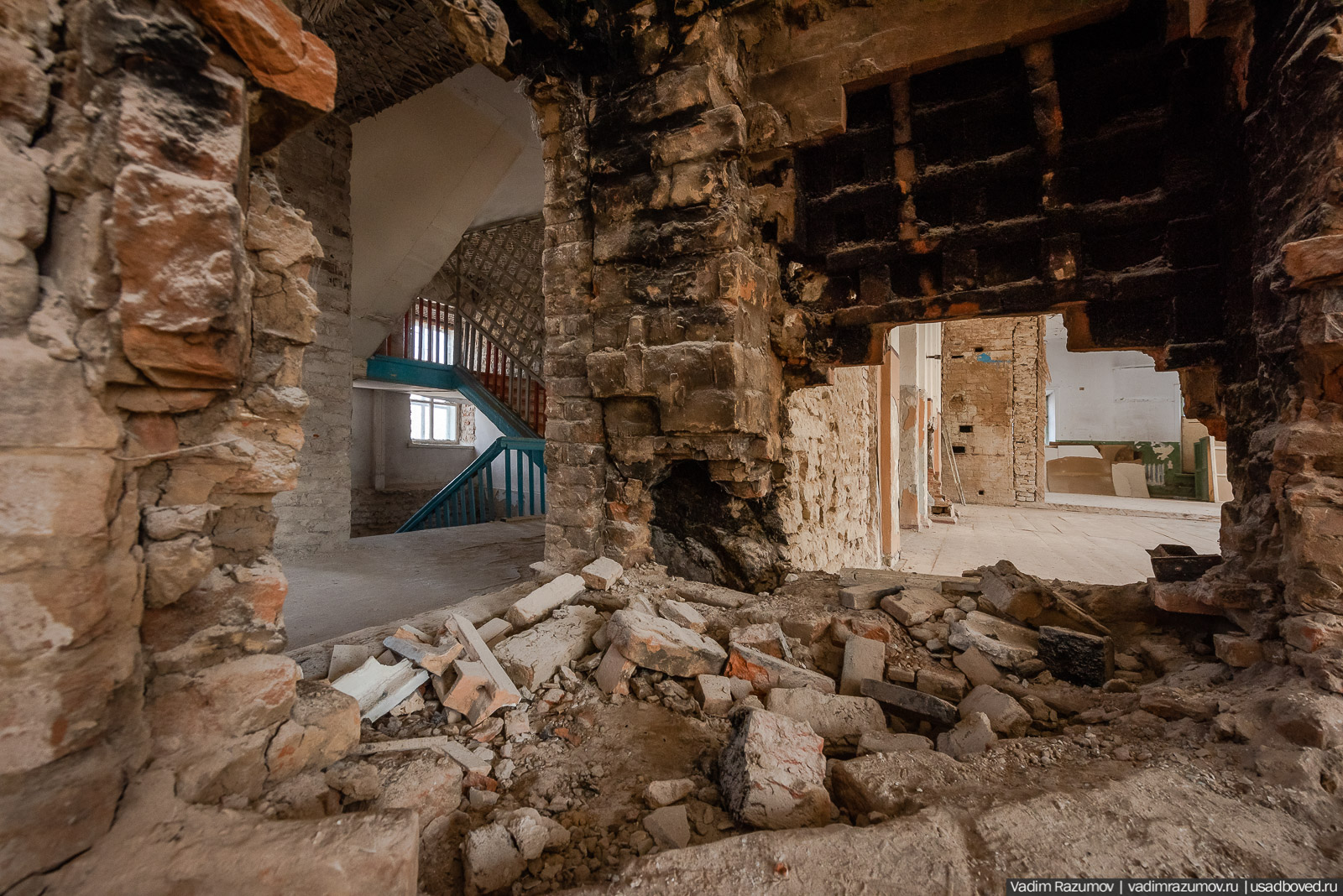 Пролески в усадьбе Репец, Задонский район, Липецкая область
