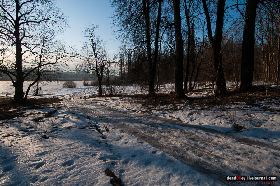 усадьба Виноградово