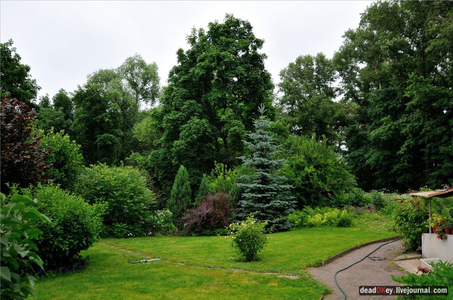 усадьба Хмелево