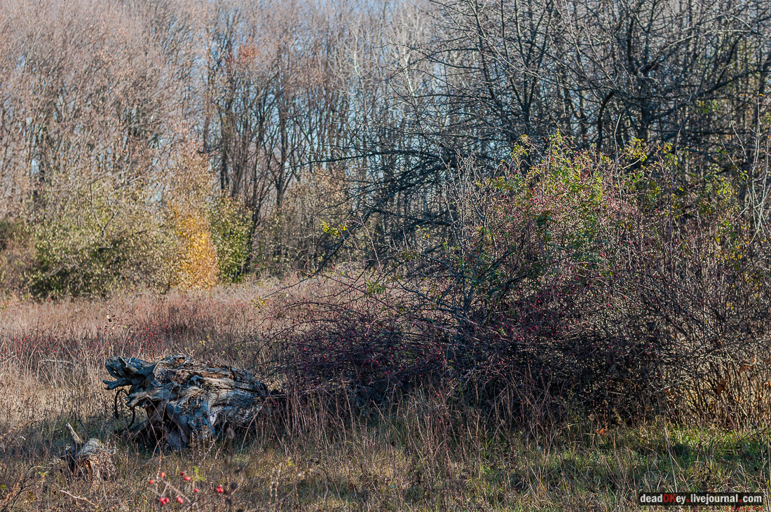 усадьба Полибино