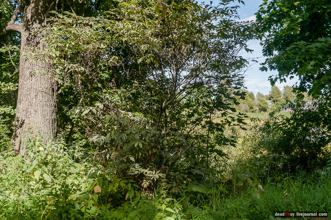 усадьба Потапово