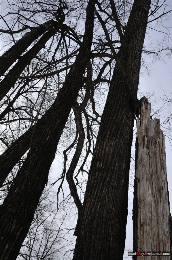 усадьба Ельдигино