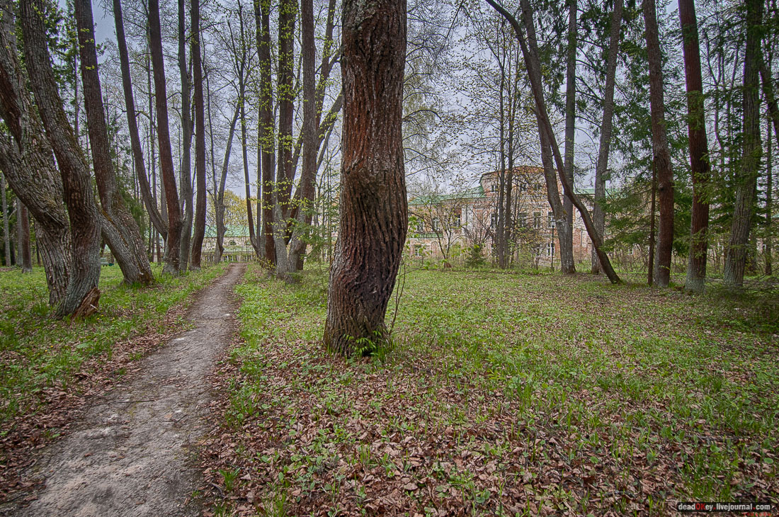 усадьба Михайловское