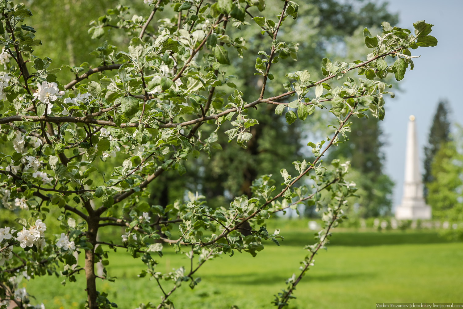 усадьба Степановское-Волосово, интерьеры