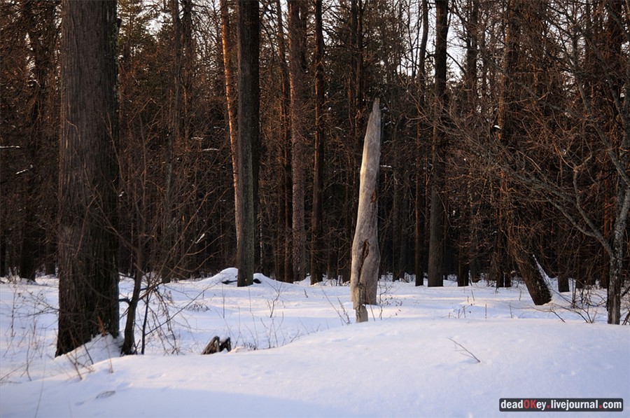 усадьба Андреевское