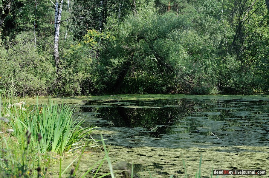 усадьба Пронино