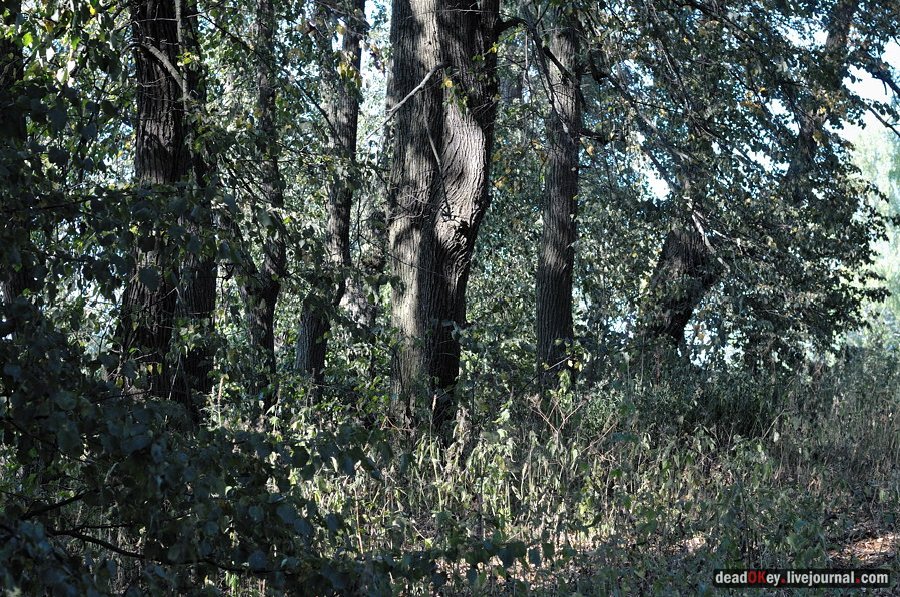 усадьба Муханово