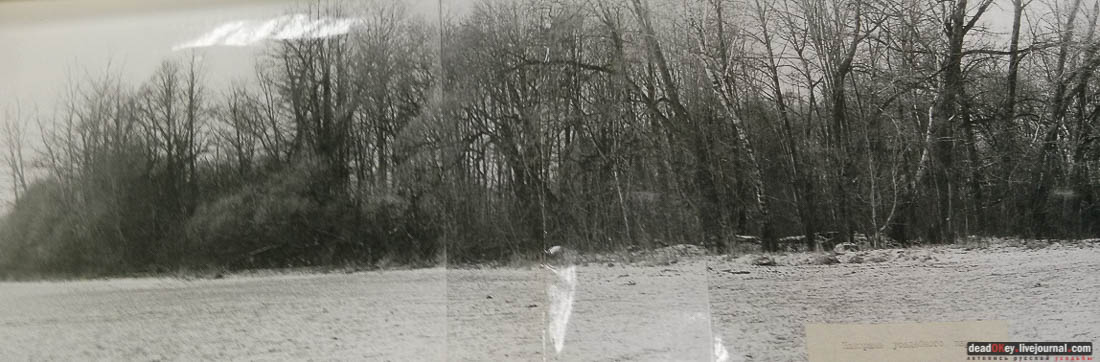 усадьба Васино