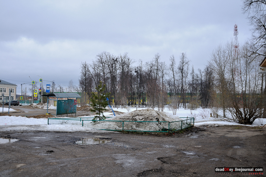 усадьба Сынково