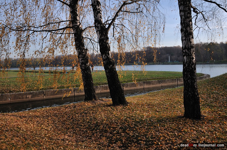 усадьба Кусково