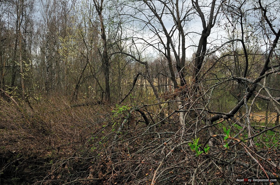 усадьба Антипино