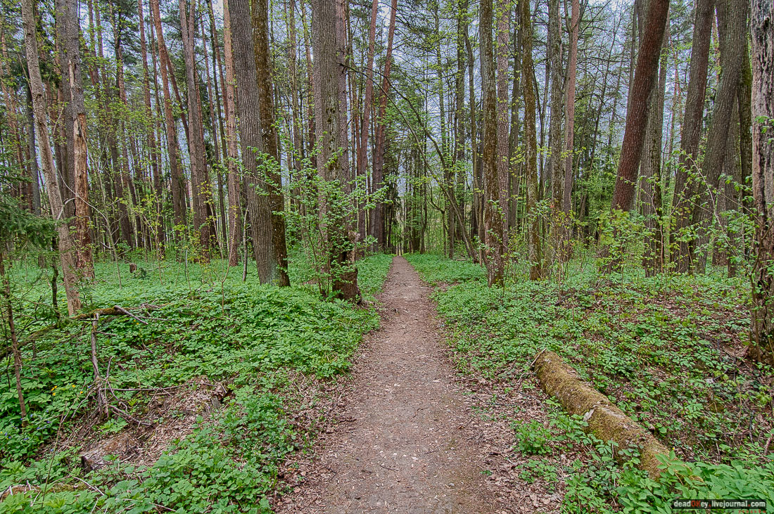 усадьба Михайловское