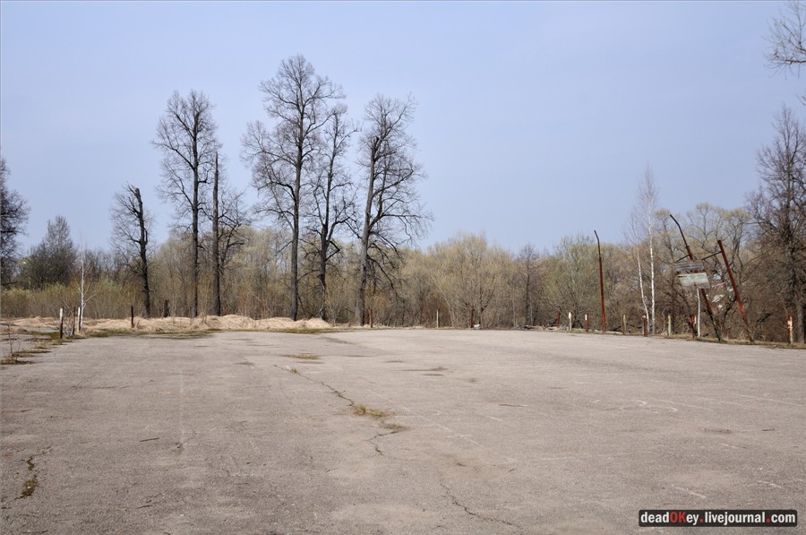 усадьба Грабцево