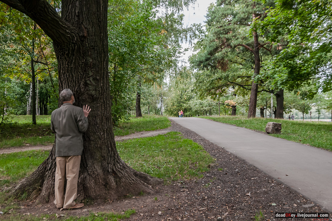 усадьба Михалково