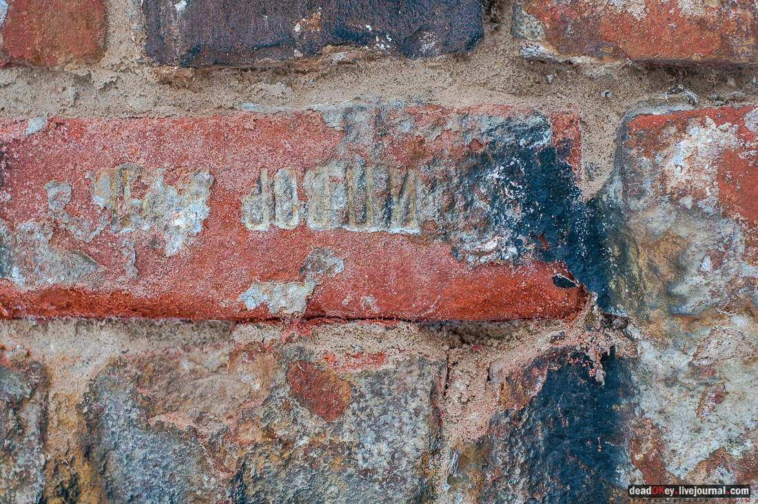 усадьба Гребнево, больничный комплекс