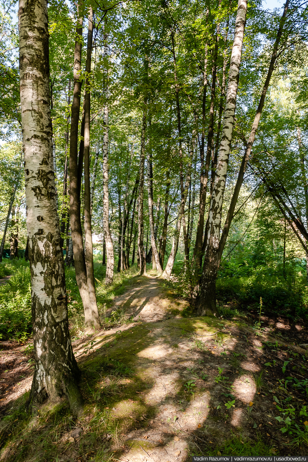 Усадьба Заболотье, парк, курганы, Долгопрудный, Москва
