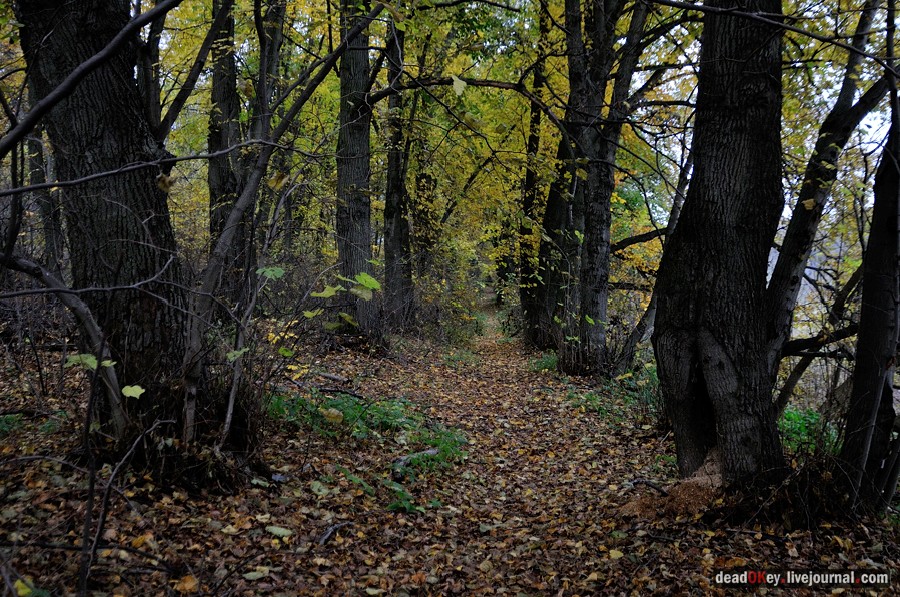 усадьба Глинки