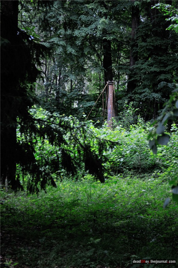 усадьба Паньково