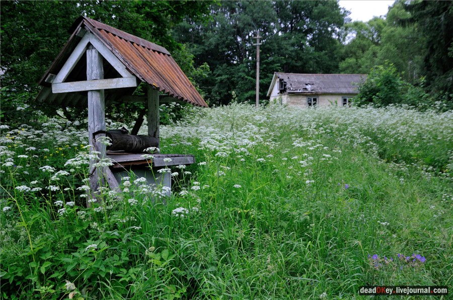 усадьба Паньково
