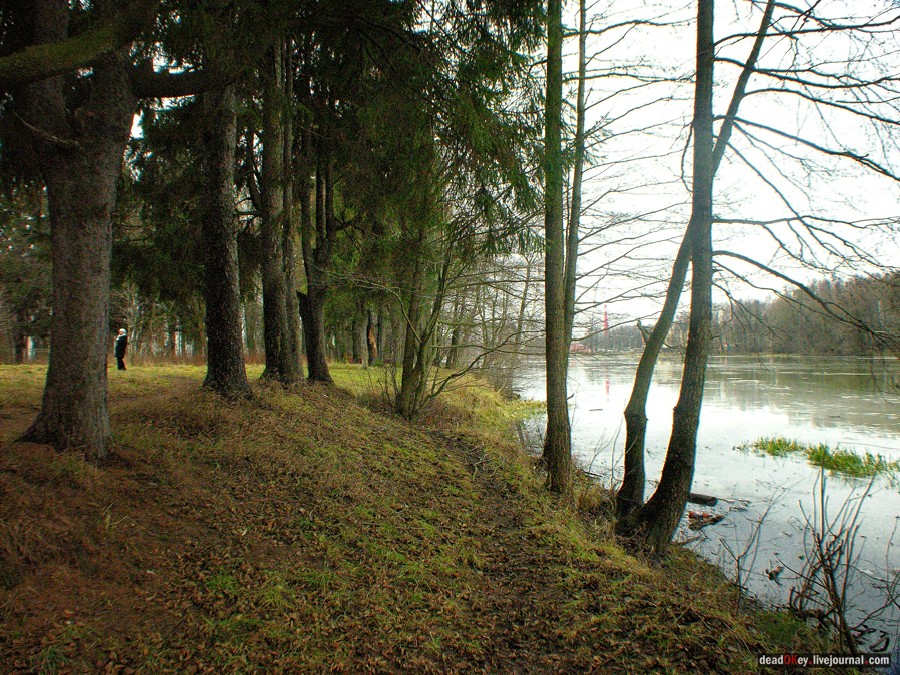 усадьба Глухово