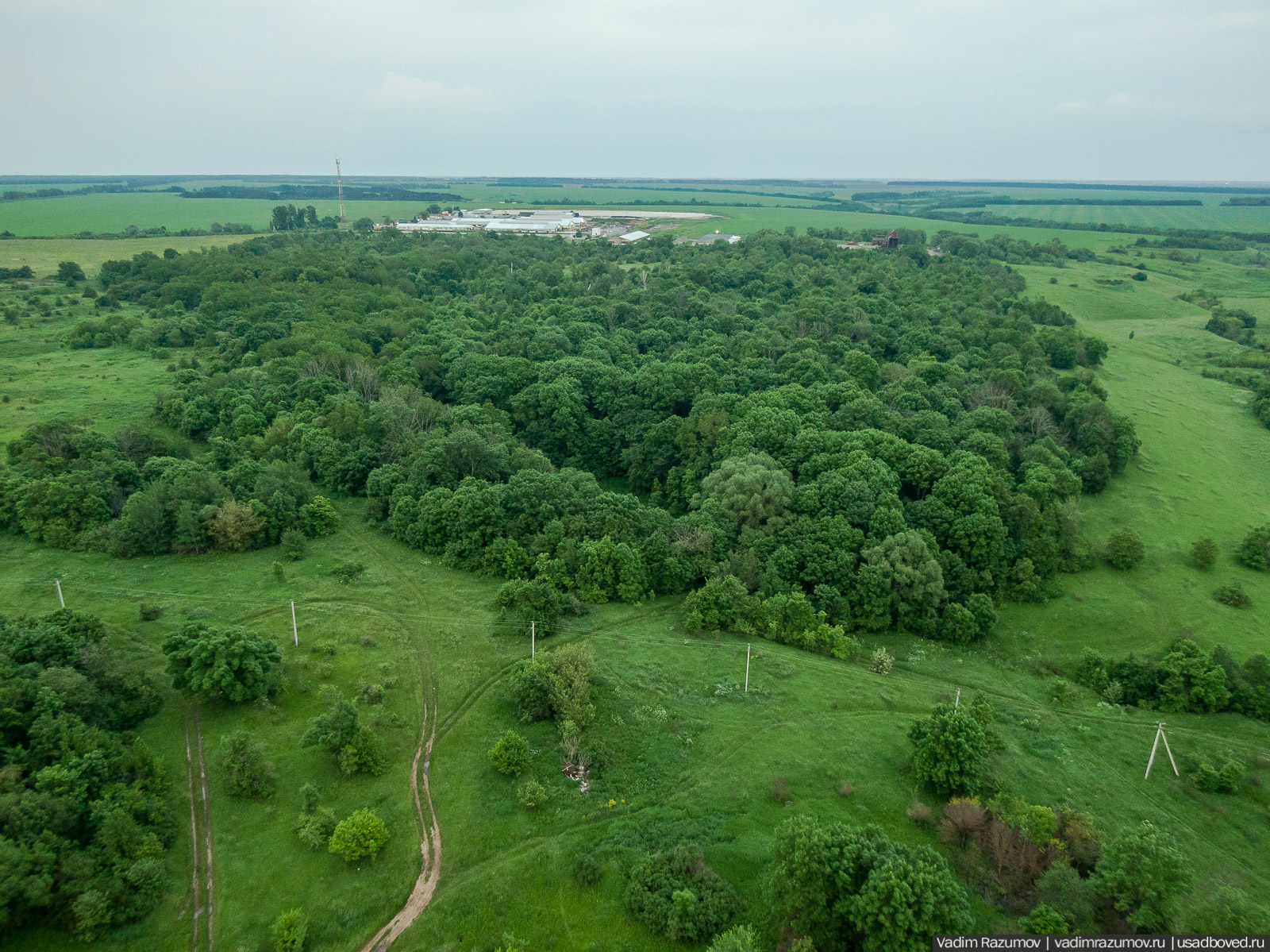 усадьба Вешаловка, Липецкая область, с дрона