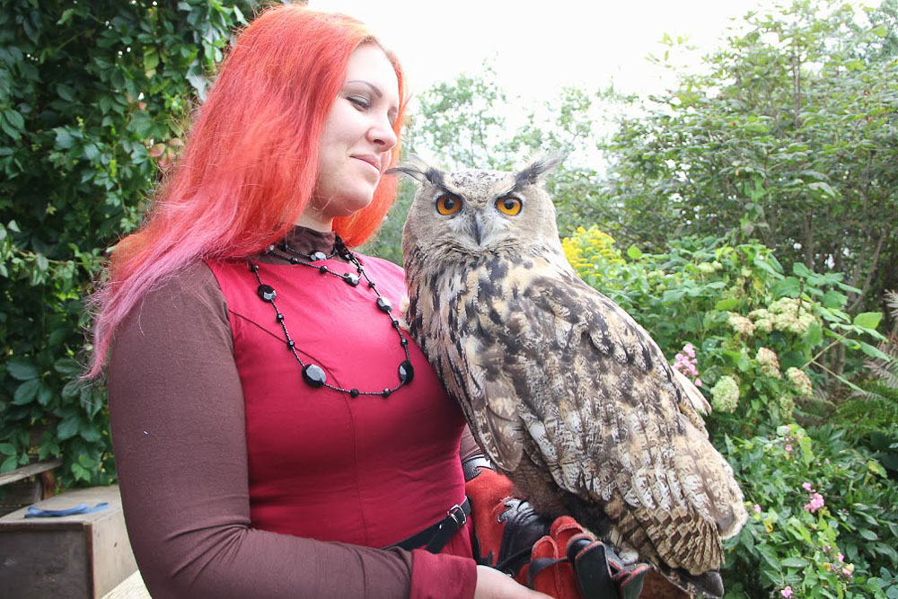 Экоэлектричка. В Талдом на Cовиный ФЕСТ!