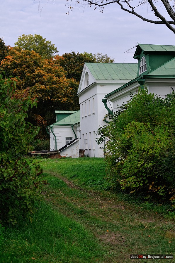 усадьба Ясная Поляна