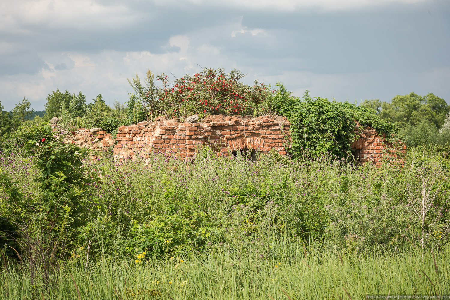 Гремячка, Рязанка, Урусово - тропа Семенова-Тян-Шанского