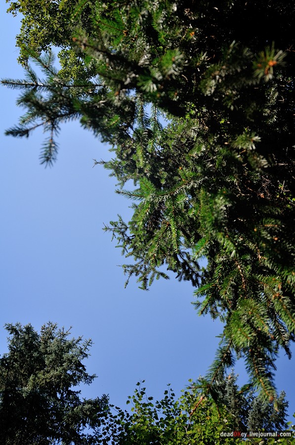 усадьба Денежниково